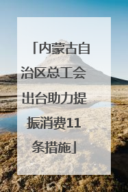 内蒙古自治区总工会出台助力提振消费11条措施