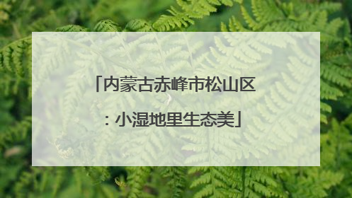 内蒙古赤峰市松山区：小湿地里生态美