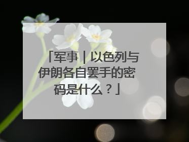 军事｜以色列与伊朗各自罢手的密码是什么？