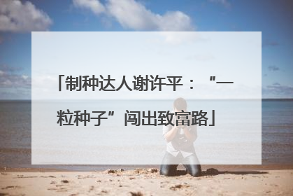 制种达人谢许平：“一粒种子”闯出致富路