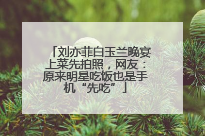 刘亦菲白玉兰晚宴上菜先拍照，网友：原来明星吃饭也是手机“先吃”