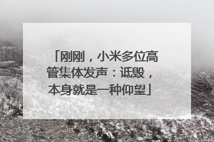 刚刚，小米多位高管集体发声：诋毁，本身就是一种仰望