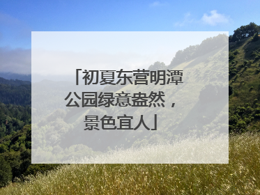 初夏东营明潭公园绿意盎然，景色宜人