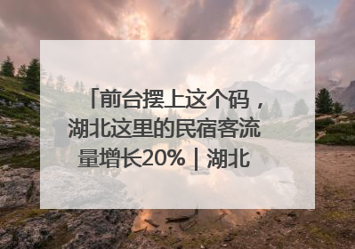 前台摆上这个码，湖北这里的民宿客流量增长20%｜湖北市场监管所的故事
