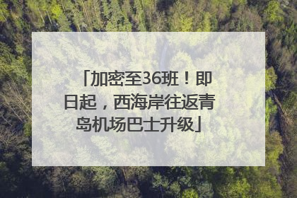 加密至36班！即日起，西海岸往返青岛机场巴士升级