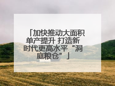 加快推动大面积单产提升 打造新时代更高水平“洞庭粮仓”
