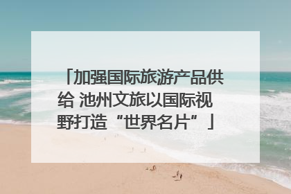 加强国际旅游产品供给 池州文旅以国际视野打造“世界名片”