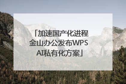 加速国产化进程 金山办公发布WPS AI私有化方案