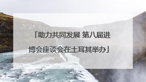 助力共同发展 第八届进博会座谈会在土耳其举办