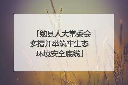 勉县人大常委会多措并举筑牢生态环境安全底线