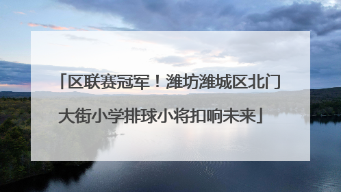 区联赛冠军！潍坊潍城区北门大街小学排球小将扣响未来