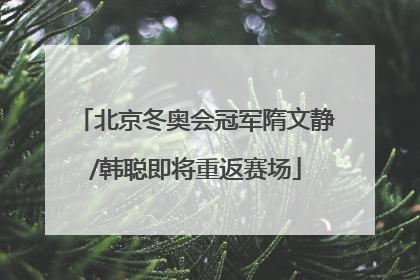 北京冬奥会冠军隋文静/韩聪即将重返赛场