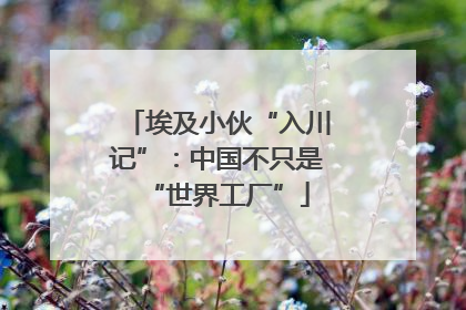 埃及小伙“入川记”：中国不只是“世界工厂”