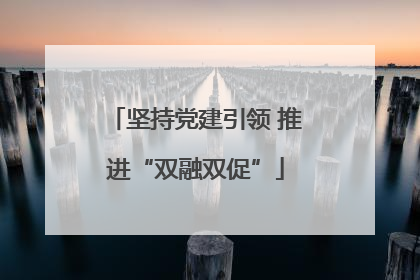 坚持党建引领 推进“双融双促”