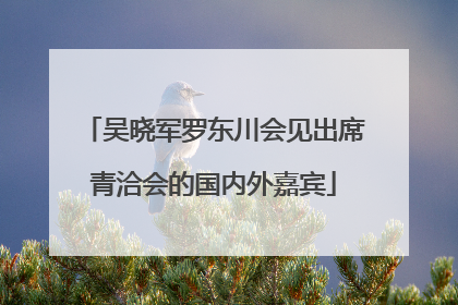 吴晓军罗东川会见出席青洽会的国内外嘉宾