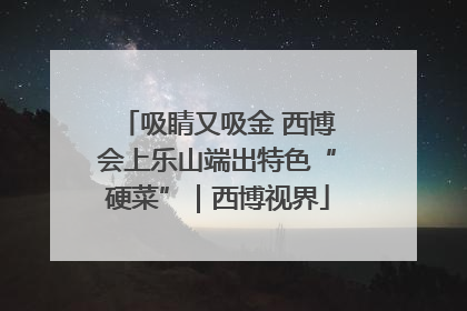 吸睛又吸金 西博会上乐山端出特色“硬菜”｜西博视界