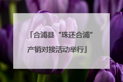 合浦县“珠还合浦”产销对接活动举行