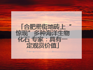合肥罍街地砖上“惊现”多种海洋生物化石 专家：具有一定观赏价值