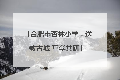 合肥市杏林小学：送教古城 互学共研