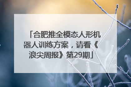 合肥推全模态人形机器人训练方案，请看《浪尖周报》第29期