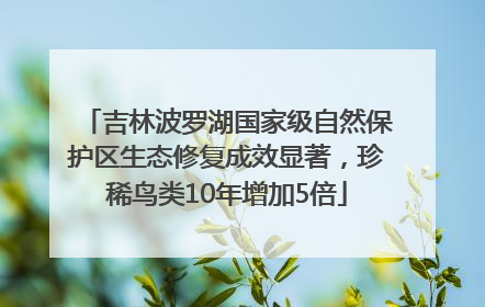 吉林波罗湖国家级自然保护区生态修复成效显著，珍稀鸟类10年增加5倍