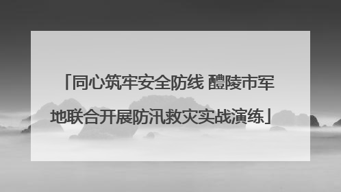 同心筑牢安全防线 醴陵市军地联合开展防汛救灾实战演练