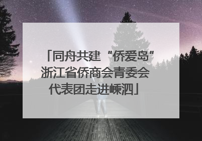 同舟共建“侨爱岛” 浙江省侨商会青委会代表团走进嵊泗