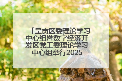 呈贡区委理论学习中心组暨数字经济开发区党工委理论学习中心组举行2025年第七次学习会议