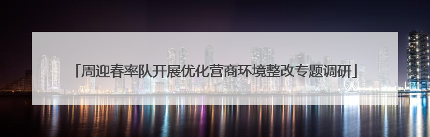周迎春率队开展优化营商环境整改专题调研