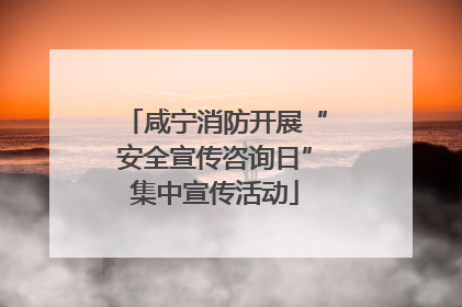 咸宁消防开展“安全宣传咨询日”集中宣传活动
