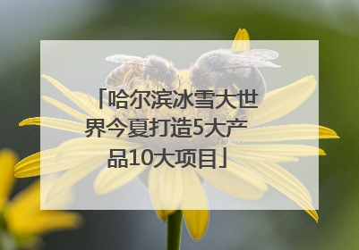 哈尔滨冰雪大世界今夏打造5大产品10大项目