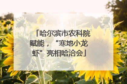 哈尔滨市农科院赋能，“寒地小龙虾”亮相哈洽会