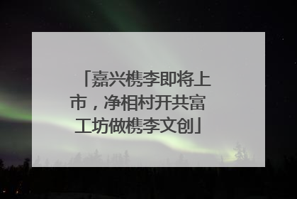 嘉兴槜李即将上市，净相村开共富工坊做槜李文创