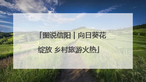图说信阳｜向日葵花绽放 乡村旅游火热