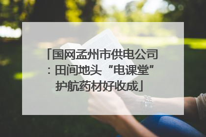 国网孟州市供电公司：田间地头“电课堂”  护航药材好收成