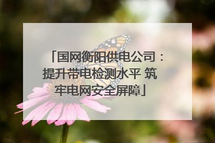 国网衡阳供电公司：提升带电检测水平 筑牢电网安全屏障
