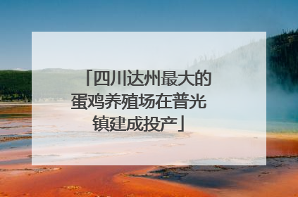 四川达州最大的蛋鸡养殖场在普光镇建成投产