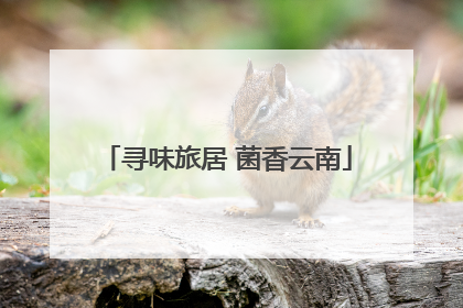 寻味旅居 菌香云南