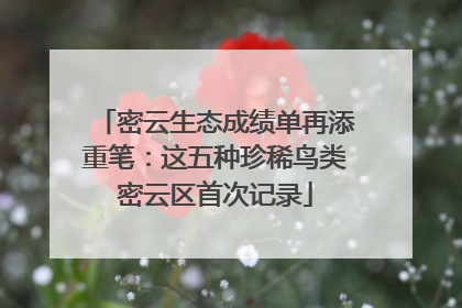 密云生态成绩单再添重笔：这五种珍稀鸟类密云区首次记录