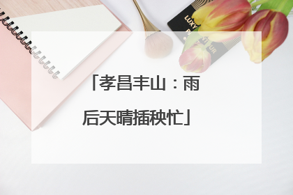 孝昌丰山：雨后天晴插秧忙