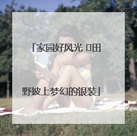 家园好风光 ⎮田野披上梦幻的银装