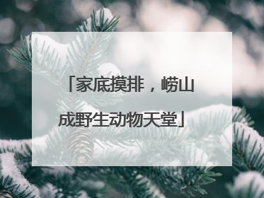 家底摸排，崂山成野生动物天堂