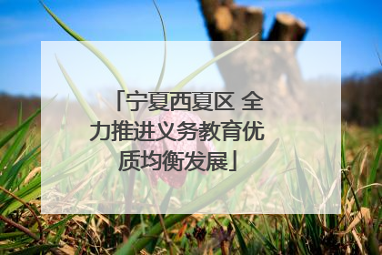 宁夏西夏区 全力推进义务教育优质均衡发展
