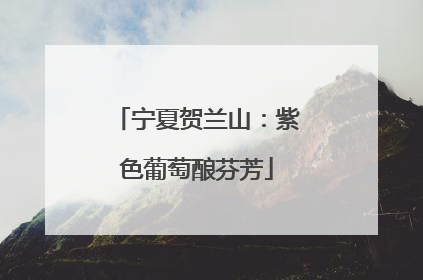 宁夏贺兰山：紫色葡萄酿芬芳