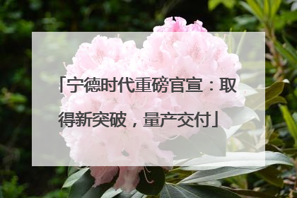 宁德时代重磅官宣：取得新突破，量产交付