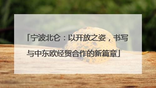 宁波北仑：以开放之姿，书写与中东欧经贸合作的新篇章