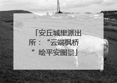 安丘城里派出所：“云端枫桥”绘平安图景