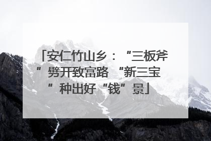 安仁竹山乡：“三板斧”劈开致富路 “新三宝”种出好“钱”景