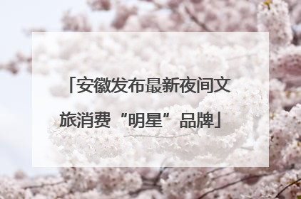 安徽发布最新夜间文旅消费“明星”品牌