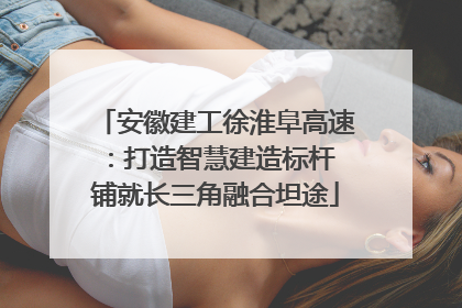安徽建工徐淮阜高速：打造智慧建造标杆 铺就长三角融合坦途